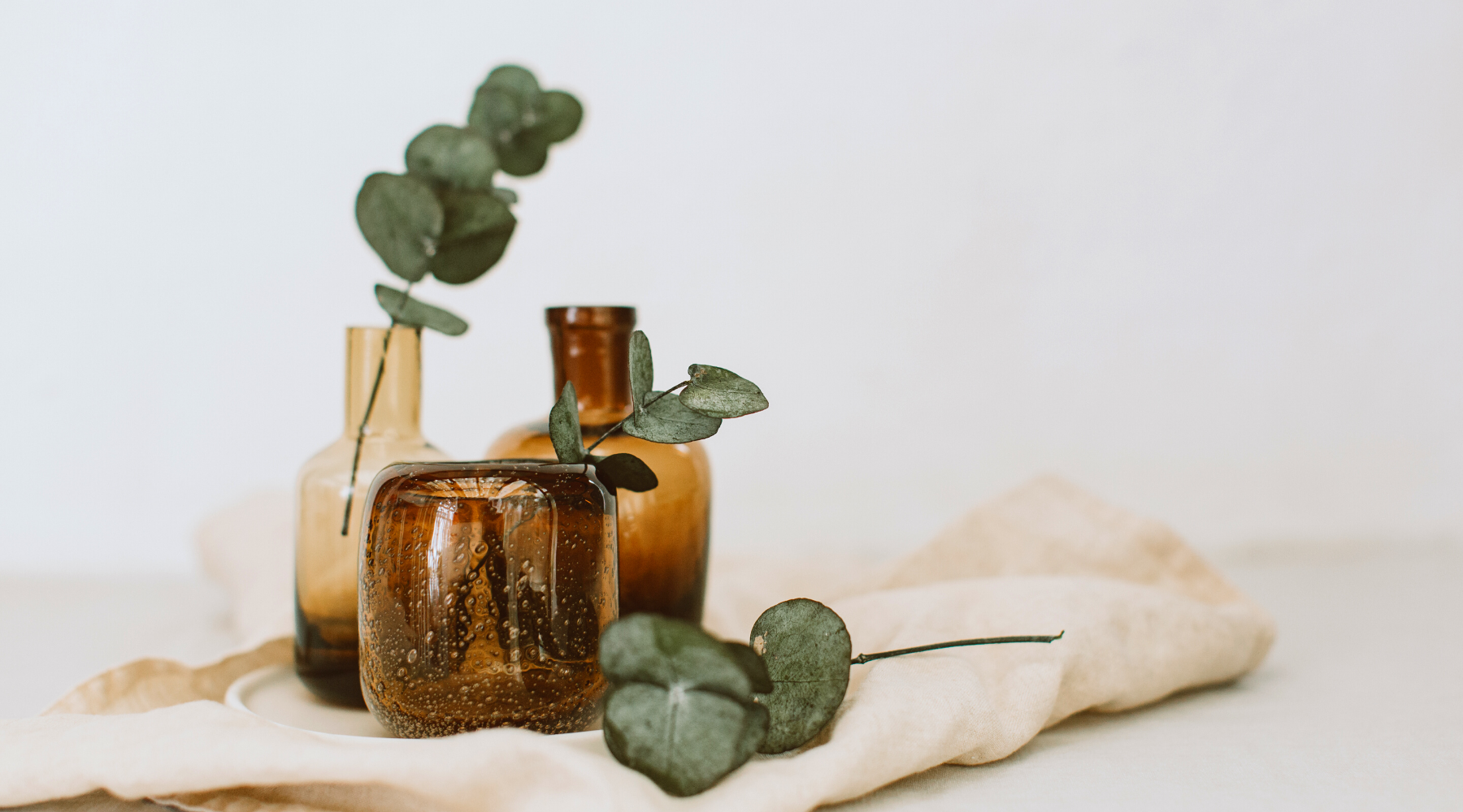 Eucalyptus