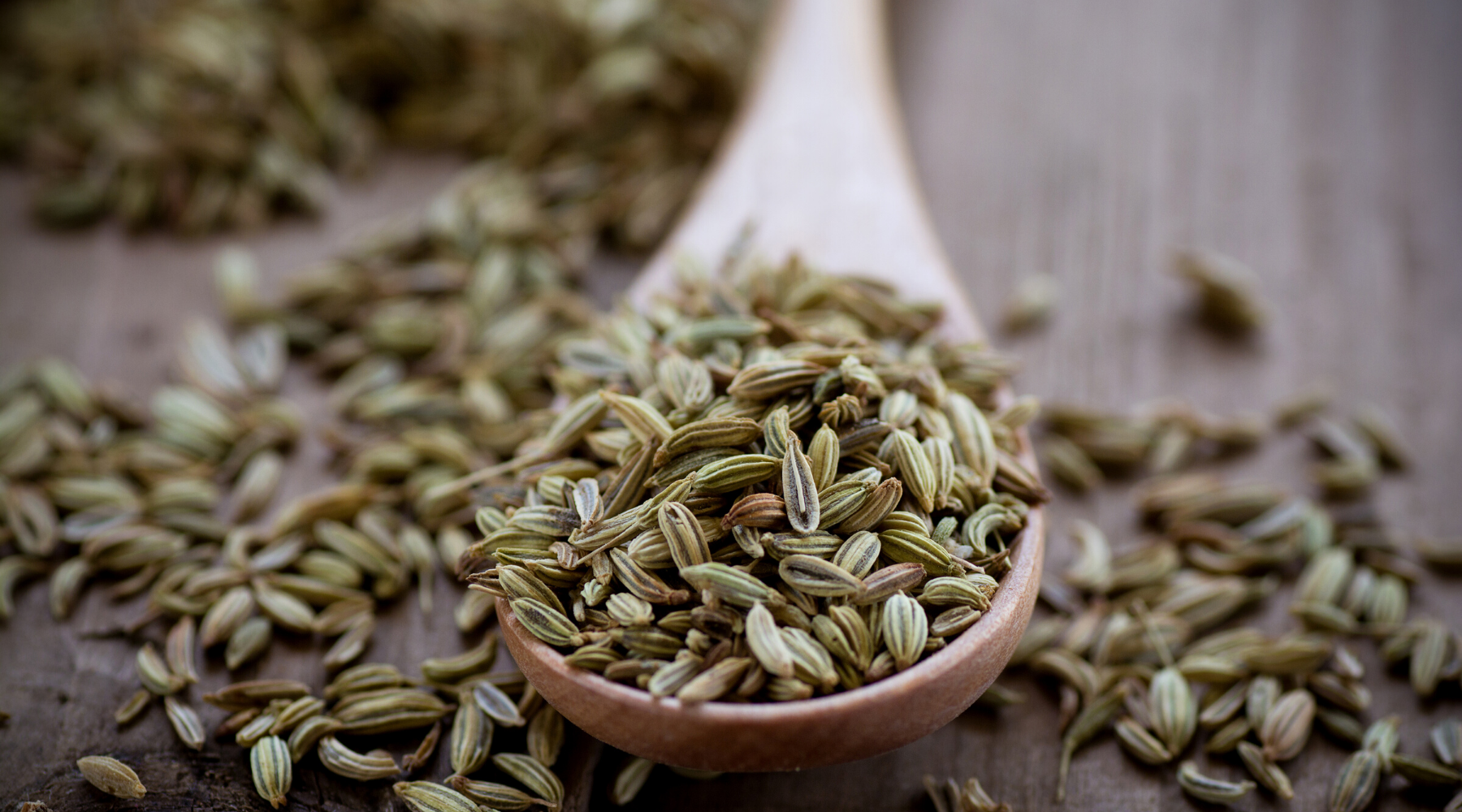 Fennel