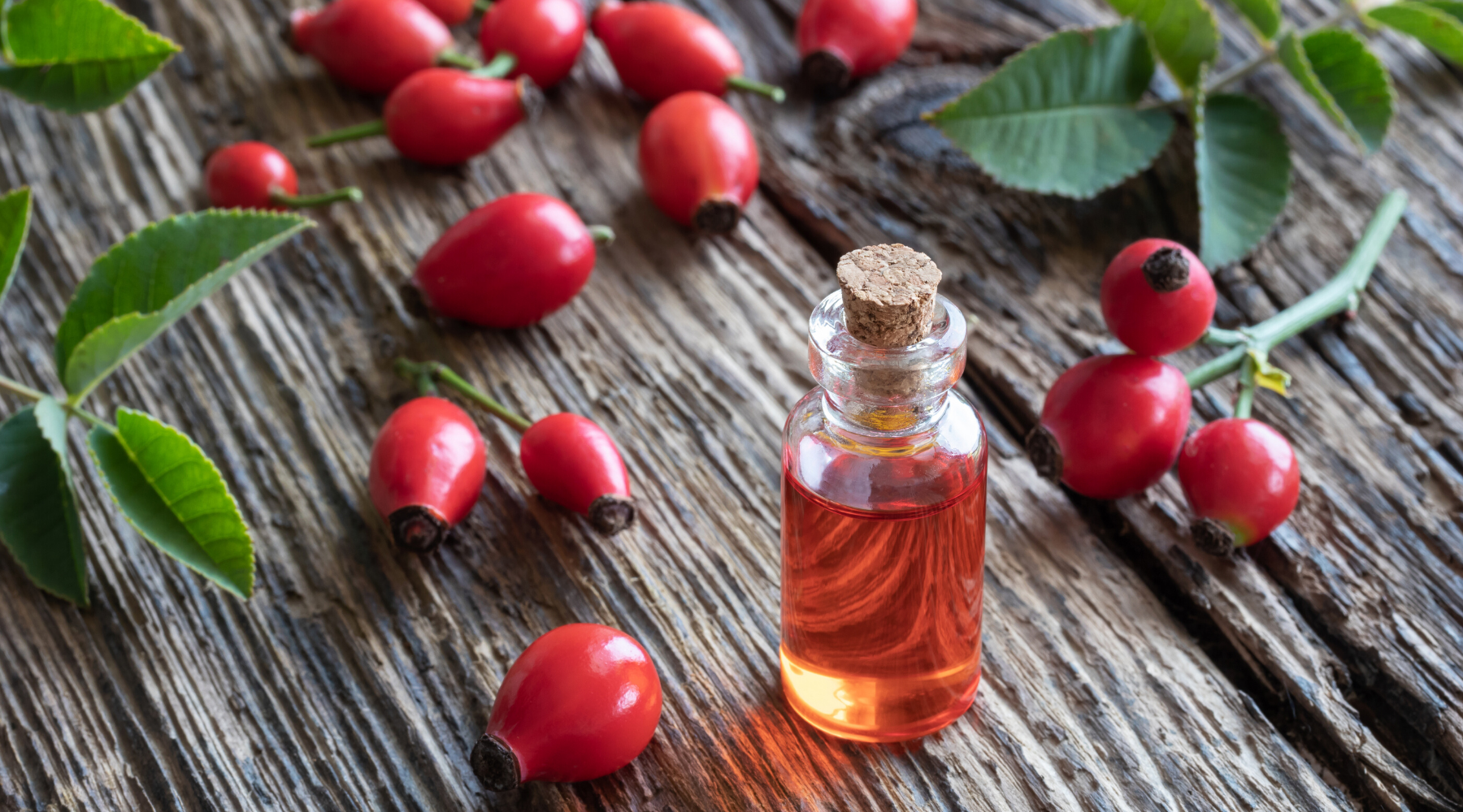 Rosehip
