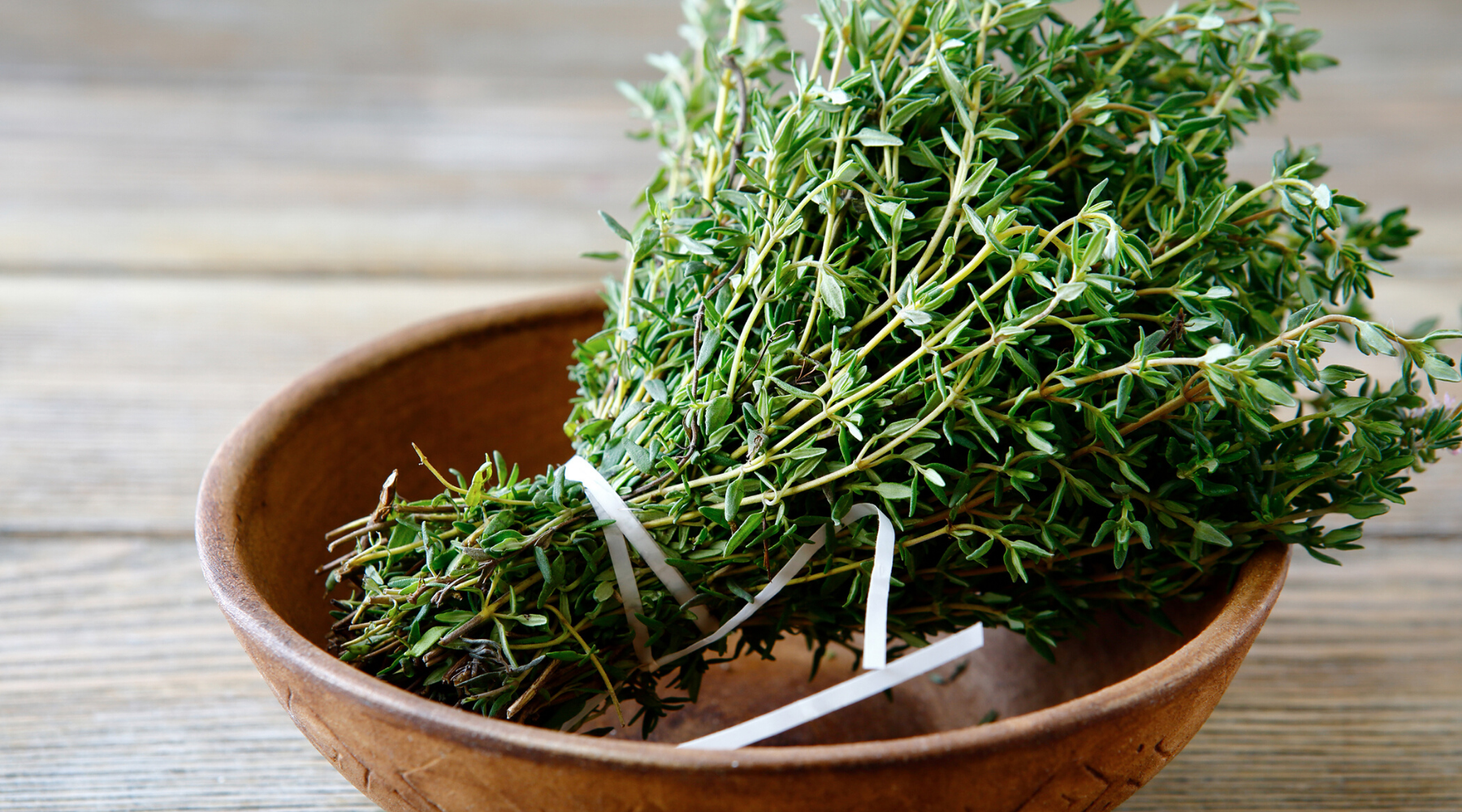 Thyme