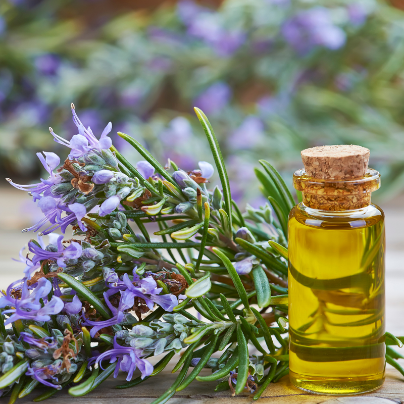 Rosemary Leaf Oil