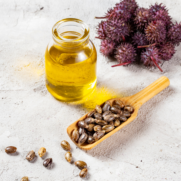 Castor Seed Oil